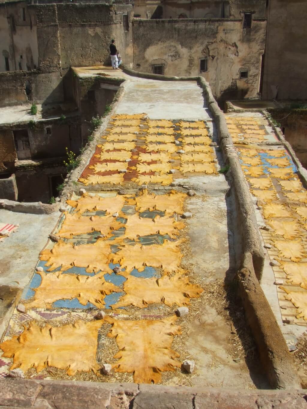séchage des peaux tannerie maroc